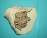 肉まん☆手作り大きく♪餡もたっぷり^0^作り方7写真
