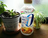 《糖質制限》しそジュース作り方3写真
