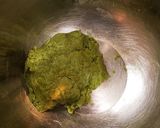 カントリーマアム風しっとり抹茶クッキー作り方3写真