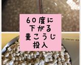 もち麦の麦こうじ甘酒作り方3写真