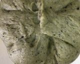 簡単よもぎ入り粒あんパン作り方5写真