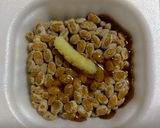 サバの水煮納豆⭐水煮鯖缶は納豆で納得よね作り方3写真