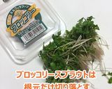 筋肉冷奴（みょうがとしらすでサッパリ）作り方2写真