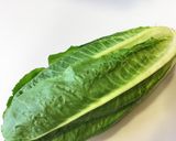 アオサ香る Caesar's サラダ作り方8写真