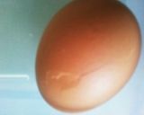 茹で卵・冷やさず皮が直ぐ剥ける作り方1写真