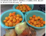 杏ジャム覚え書き作り方9写真