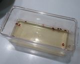 キャベツのあっさり浅漬け作り方1写真