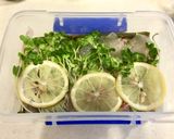 鯛の昆布締め　レモン風味作り方7写真