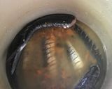 トビウオの結構骨まで食べられる作り方2写真