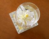ねぎde花作り方7写真