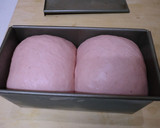 庭梅のジャムを練りこんだ角食作り方8写真