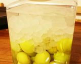 確実・丁寧な梅酒の作り方。作り方9写真