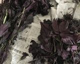 赤紫蘇ジュース作り方1写真