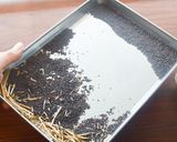 からし菜の種で手作り粒マスタード作り方2写真