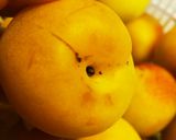 梅干し下準備 はじめ～干し作業～保存作り方1写真