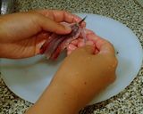 スペインのしめ鰯のオイル漬け作り方5写真