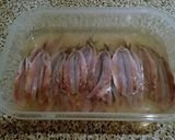 スペインのしめ鰯のオイル漬け作り方6写真