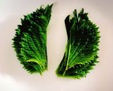 大葉を使ったさっぱり餃子作り方3写真