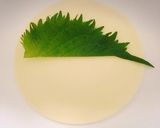 大葉を使ったさっぱり餃子作り方4写真