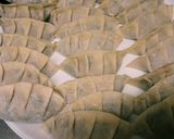 ねぎニラたっぷり！スタミナ★餃子作り方2写真