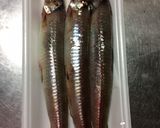 おいしいな♪にぎすの天ぷら　おまけつき作り方1写真