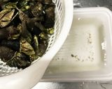 簡単 亀の手の塩茹で作り方2写真