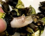 簡単 亀の手の塩茹で作り方6写真
