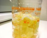 万能 塩レモンペースト液作り方4写真