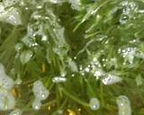 栄養満点(*^^*)アカモクのポン酢和え作り方1写真