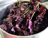 無糖純紫蘇酢（自家製のゆかりもできます）作り方2写真