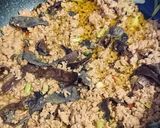 夏バテ予防　生キクラゲ入り麻婆茄子作り方8写真