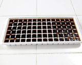 コーヒー氷でアイスラテ（クラッシュ氷）作り方6写真