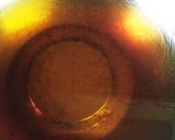 10分で茄子の煮浸し作り方5写真