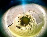 シンプルで美味しい！手羽の塩オニオン煮作り方1写真