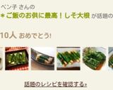 おつまみ＊ご飯のお供に最高！しそ大根作り方17写真