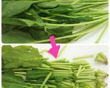 マーガリンで＊ほうれん草とえのきのソテー作り方1写真