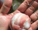キャベツの大量消費に！豚キャベツボール作り方6写真