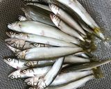 小鮎（コアユ）の煮付け作り方1写真