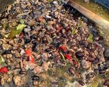 【メキシコ料理】黒豆と岩塩のチリコンカン作り方10写真