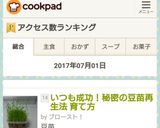 いつも成功!秘密の豆苗再生法 育て方作り方15写真