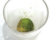 爽やかドリンク 抹茶シナモン豆乳作り方3写真