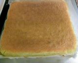 でっかく作ろう！クリスマスケーキハウス作り方3写真