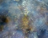 そうめん　ひやむぎ　簡単めんつゆ作り方2写真