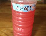 ぐみの実の酵素作り方7写真
