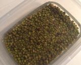 製氷皿で♪一口緑豆アイス作り方1写真