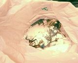 簡単揚げない♪ポン酢のあじ南蛮作り方3写真