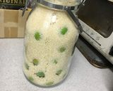 はじめての梅ジュース作り方5写真