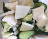 浅漬け(塩のみ)作り方8写真