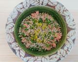 納豆と黄身の最強レシピ作り方5写真