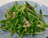 いつも成功!秘密の豆苗再生法 育て方作り方11写真